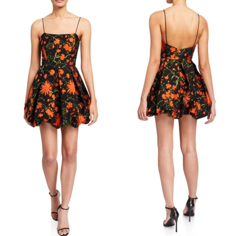 Saylor Maureen Floral Black Orange Sleeveless Fit Flare Dress M